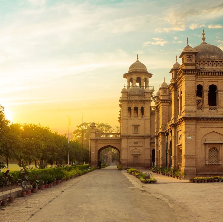 pexels-raqeebkhan-5838486