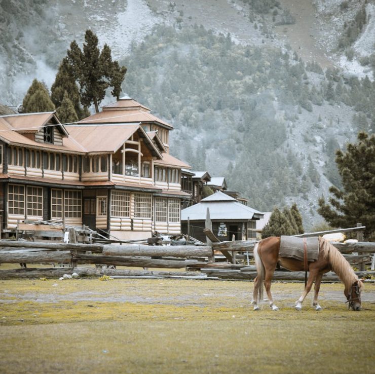 pexels-shaharyar-afzal-13567192