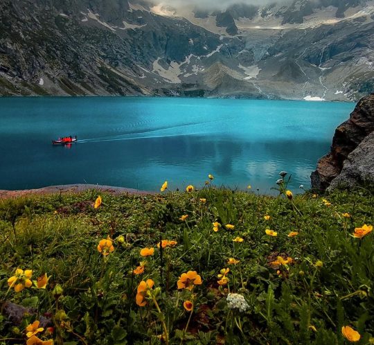 pexels-shaheer-amaid-377139222-14822617